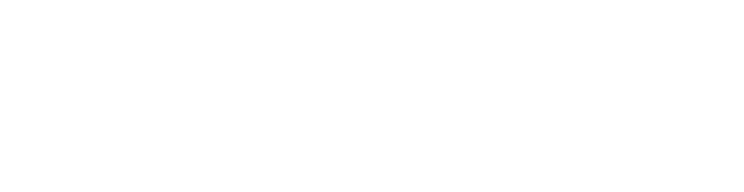 Logo E-Commerce Germany